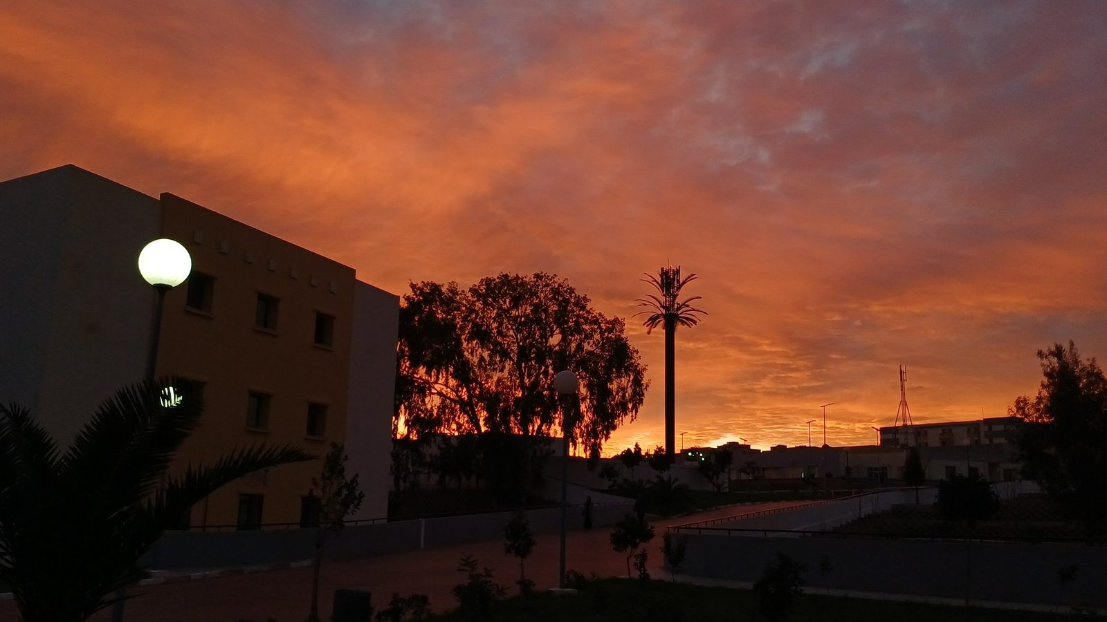 NHSM campus
